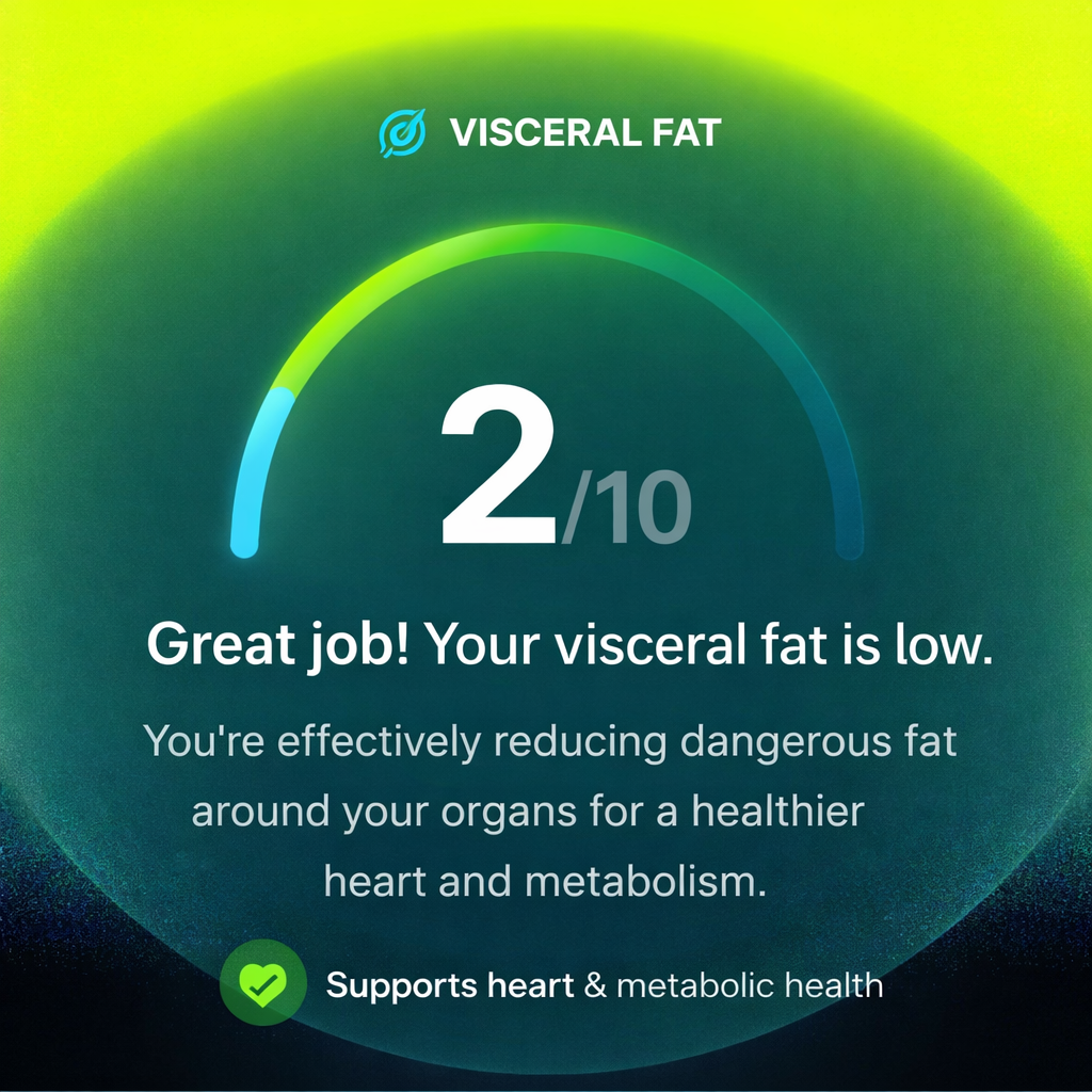 Visceral Fat